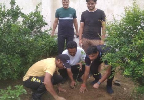 Tree Plantation at Shri Digambar Jain Sudhasagar Gaushala Bagad Ka Tiraya, Ramgarh Road, Alwar 16-09-2021